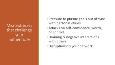 Authenticity Microstresses2