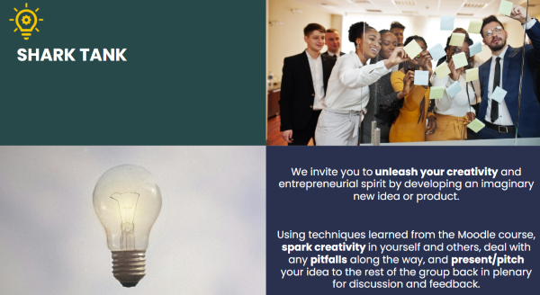 Leadership Development Module: M9 Creativity, Initiative & Innovation – February 2025